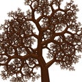 Fractal tree with intricate, repeating branch patterns creating a complex geometric Royalty Free Stock Photo