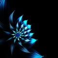 Fractal Tropical Flower - Fractal Art