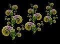 Fractals, colorful abstract plants on black background on black background