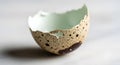 Fragile cracked quail eggshell half with brown speckles, soft focus background Royalty Free Stock Photo