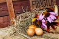 Fragile eggs with flowers - still life