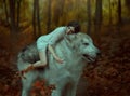 A fragile girl riding a wolf, like Princess Mononoke. Sleeping Beauty. Alaskan Malamute is like a wild wolf. The Royalty Free Stock Photo