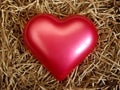 Fragile Heart Royalty Free Stock Photo