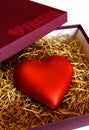 Fragile Heart Royalty Free Stock Photo