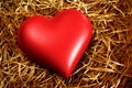 Fragile Heart Royalty Free Stock Photo