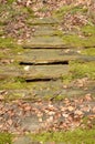 Fragile rotten bridge over a ditch