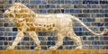 Fragment of ancient frescoes Royalty Free Stock Photo