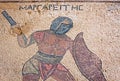 Fragment of ancient mosaic in Kourion, Cyprus Royalty Free Stock Photo