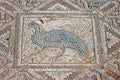 Fragment of ancient religious mosaic in Kourion, Cyprus