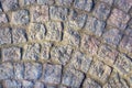 Fragment of the ancient road surface of granite blocks. Royalty Free Stock Photo