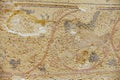 Fragment of the ancient Roman floor mosaic at the ruins of the Saint Stevens Church at an archeological site in Umm ar-Rasas,.