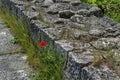 Fragment of Ancient Roman town peristyle complex Abritus