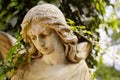 A fragment of ancient sculpture angel in a golden glow in the old cemetery. Royalty Free Stock Photo