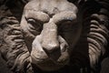 Fragment of an ancient statue of lion. Close up