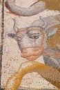 Antique mosaic in Dion. Pieria, Greece