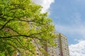 Fragment of apartment building against of oak branches on foreground Royalty Free Stock Photo