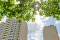 Fragment of apartment buildings against of tree branches and sun Royalty Free Stock Photo