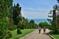 Fragment of arboretum with a path in Sochi, Russia