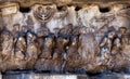 Fragment of the Arch of Titus at the Roman Forum Royalty Free Stock Photo