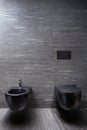 Fragment of bathroom interior: toilet and bidet. Black bidet and toilet on dark grey stone wall