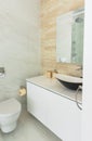Fragment of bathroom interior wash basin unit cabinet mirror toilette bowl. Modern minimalist style practical design materials