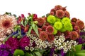 Fragment beautiful bouquet of flowers. Fresh summer flower bouquet studio shot isolated on white background