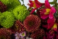 Fragment beautiful bouquet of flowers. Fresh summer flower bouquet studio shot isolated on white background