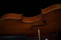 Fragment of a beautiful cello or violin on a black background