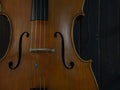 Fragment of a beautiful cello or violin on a wooden background with place for text