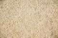 Fragment of a beige granite facing slab. Untreated scabrous stone surface of natural beige granite. Royalty Free Stock Photo