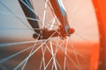 A fragment of a Bicycle wheel Royalty Free Stock Photo