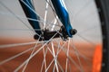 A fragment of a Bicycle wheel Royalty Free Stock Photo