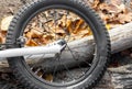 Fragment of a bicycle in a wooded area. Bicycle wheel in the environment. Royalty Free Stock Photo