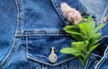 A fragment of blue denim jacket with heart on metal button, pink spiraea flower. Tenderness, love