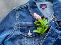 A fragment of blue denim jacket with heart on metal button, pink spiraea flower. Tenderness, love