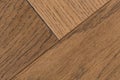 Fragment of brown oak parquet floor close-up. Royalty Free Stock Photo