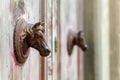 Fragment of brown old wooden door with metal door handles horse head shaped. Florence, Italy Royalty Free Stock Photo