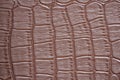 A fragment of brown reptile skin with a rich natural pattern Royalty Free Stock Photo