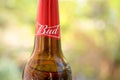 Fragment of Budweiser Bud beer bottle on a green trees background Royalty Free Stock Photo