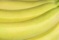 Fragment of a bunch of ripe yellow bananas