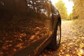 Fragment the car in autumn forest Royalty Free Stock Photo