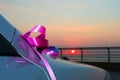 Fragment of the car decorated to wedding. Royalty Free Stock Photo