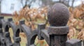 Fragment of a cast-iron fence close-up. An old cast-iron wrought-iron fence with artistic forging against the background of an