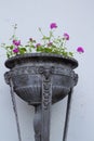 A fragment of a cast-iron vase on legs with rams, standing against the white wall of the pavilion, decorated with white columns