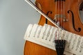 Fragment of cello or violin with bow and notes on a gray background and place for text