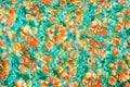 Fragment of colorful retro tapestry textile pattern with handmade floral ornament as background. Royalty Free Stock Photo