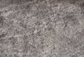 A fragment of dark gray genuine leather with a scattering of small light veins