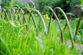 A fragment of a decorative fence Royalty Free Stock Photo