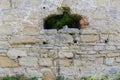 Fragment of defense stone wall of mediaeval castle with hole