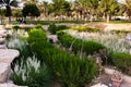 The Diriyah Park, Riyadh Royalty Free Stock Photo